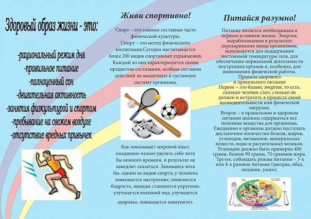 zdor obraz zhizni 2024 07 31