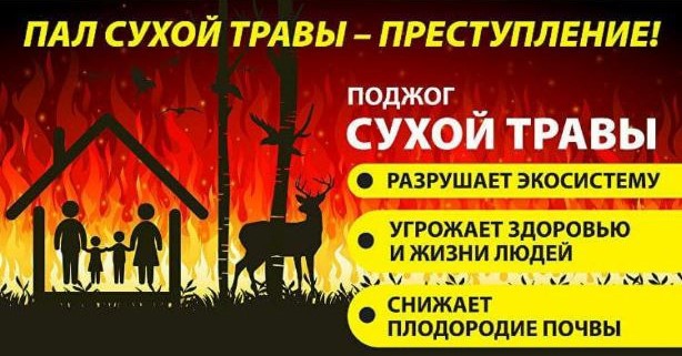 pal suhoi travi 2024 03 04