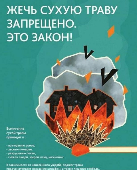Жечь сухую траву - запрещено. Это закон!