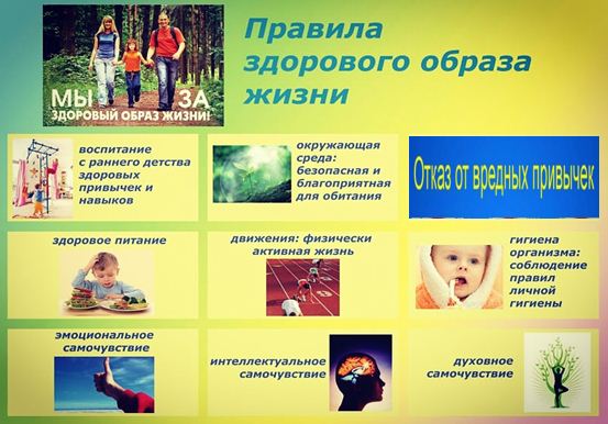 Pravila ZOZH 2024 07 31