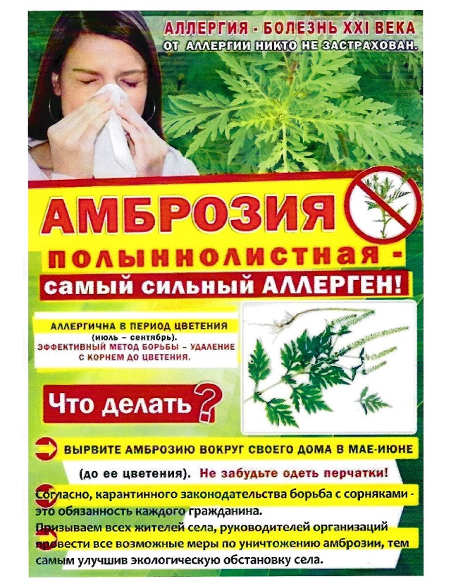 ambroziya1 1