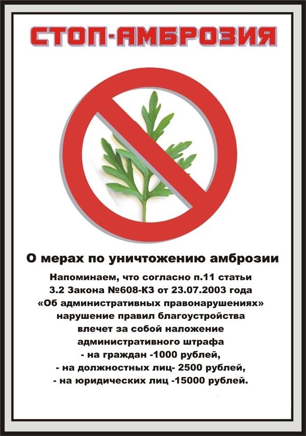 ambroziya1 2