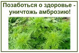pam 2022 05 13 3