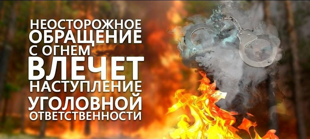 pozhar2024 05 21